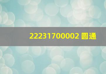 22231700002 圆通